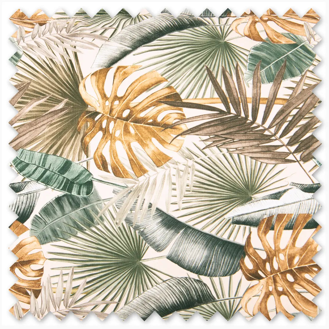 Palm - Limited: Rainforest