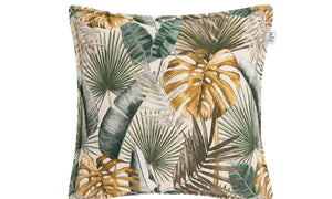Color_Palm - Limited Rainforest